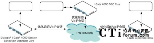 企业 VoIP 会话优化