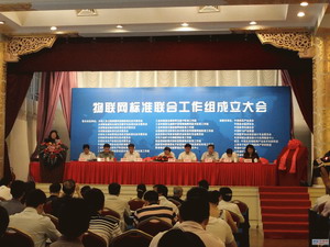中国物联网标准联合工作组成立大会